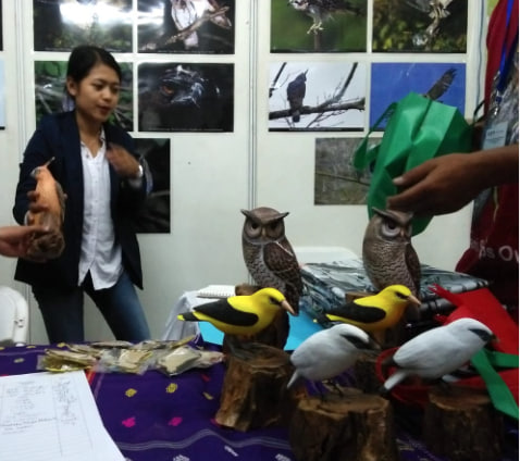 Konservasi Burung Melalui Kerjasama Internasional