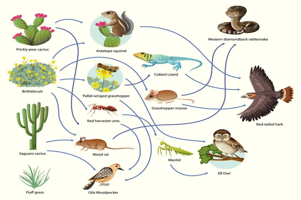 Pakta Burung dalam Keseimbangan Ekosistem Global